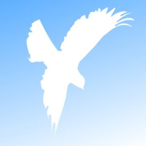 Divine healing Today logo